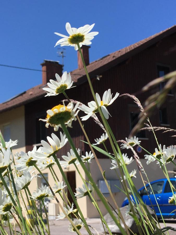 Appartamento Le Petit Beillard Gérardmer Esterno foto