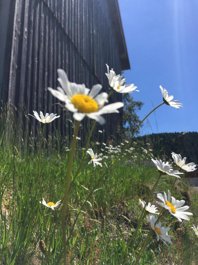 Appartamento Le Petit Beillard Gérardmer Esterno foto