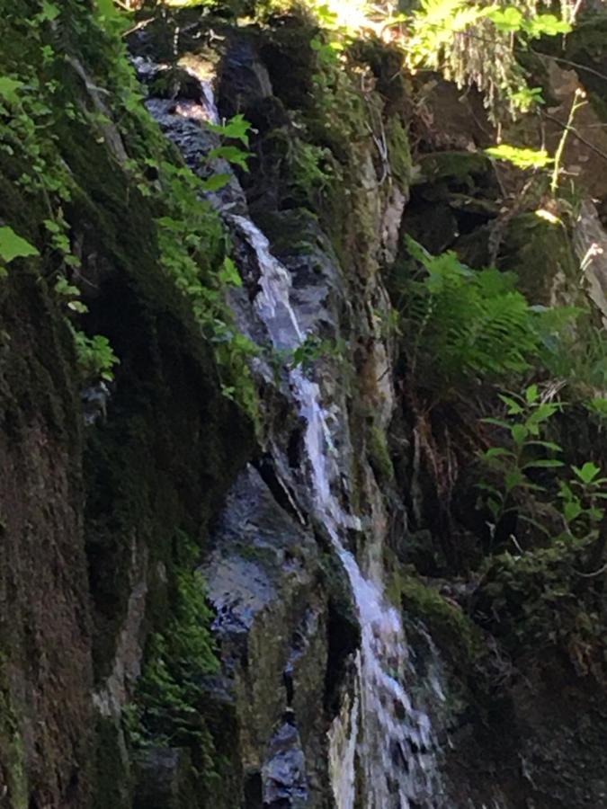 Appartamento Le Petit Beillard Gérardmer Esterno foto