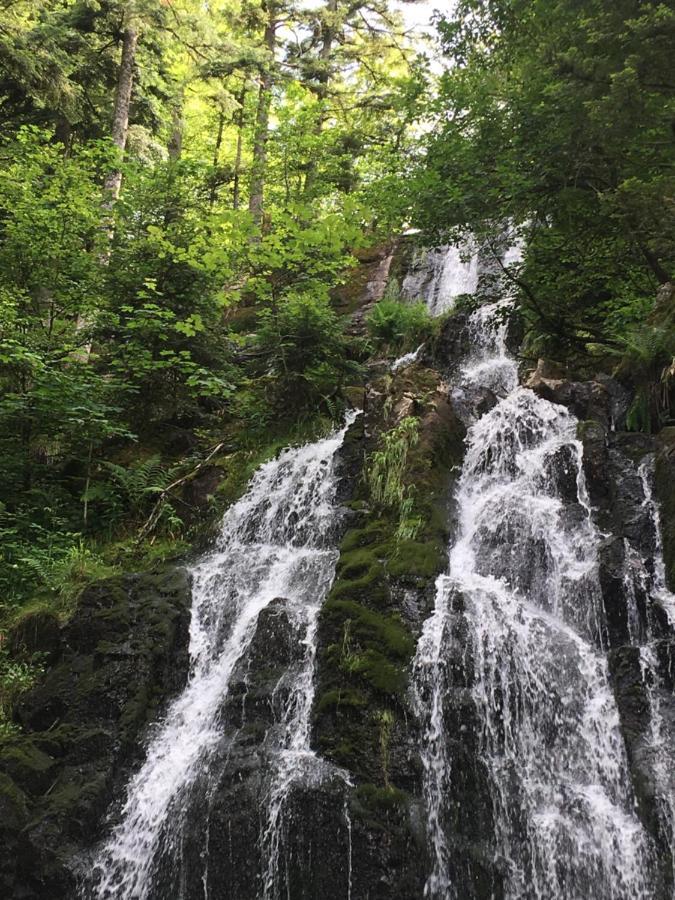 Appartamento Le Petit Beillard Gérardmer Esterno foto