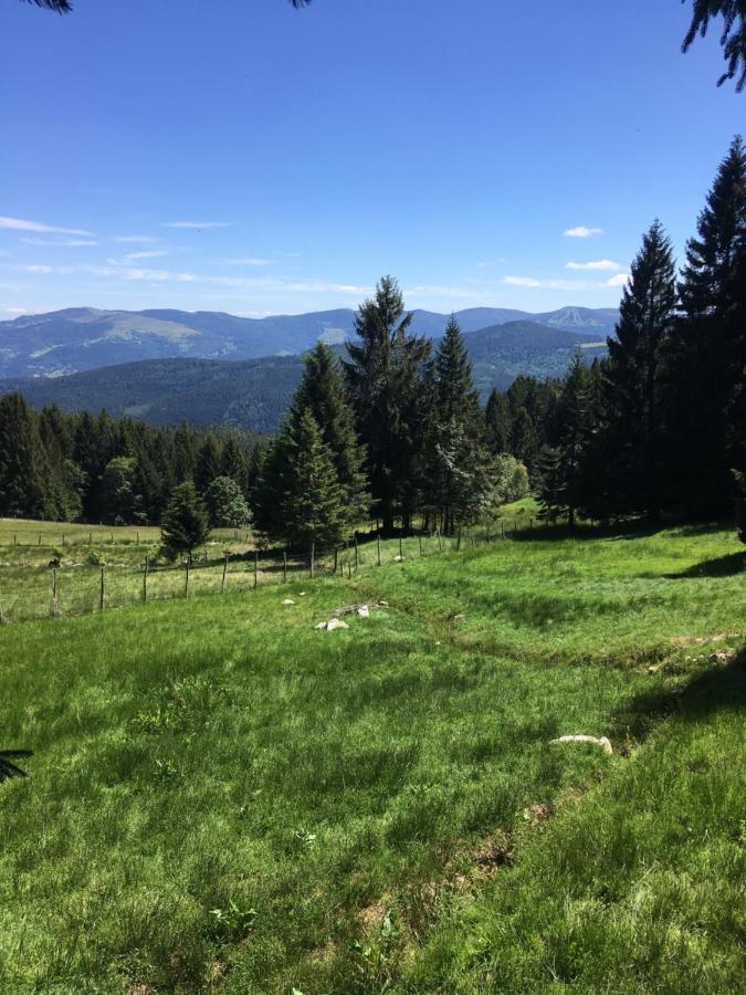 Appartamento Le Petit Beillard Gérardmer Esterno foto