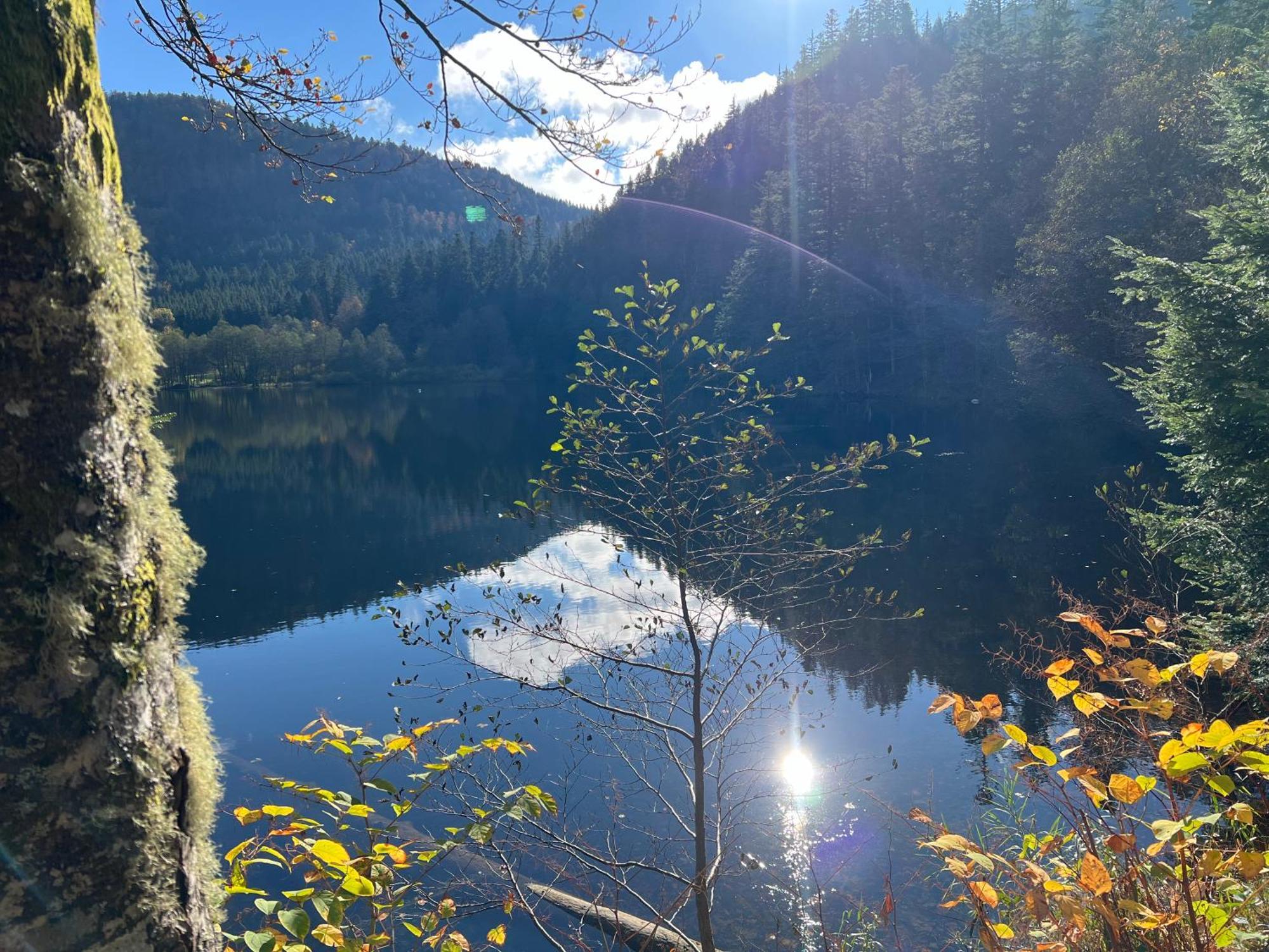 Appartamento Le Petit Beillard Gérardmer Esterno foto