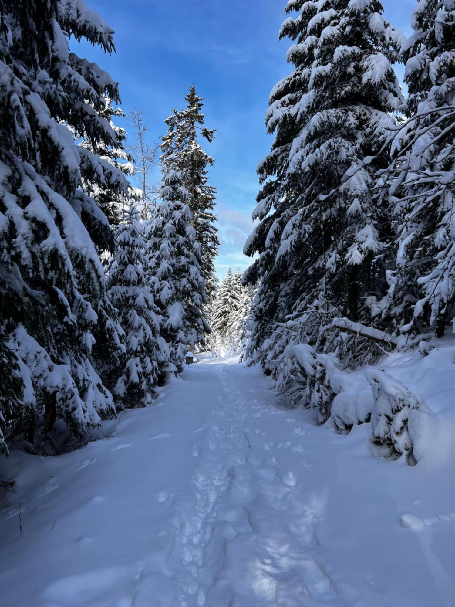 Appartamento Le Petit Beillard Gérardmer Esterno foto